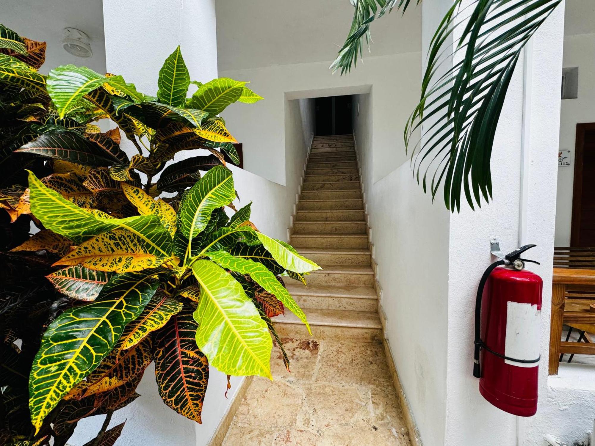 Vista Bayahibe Paradise المظهر الخارجي الصورة