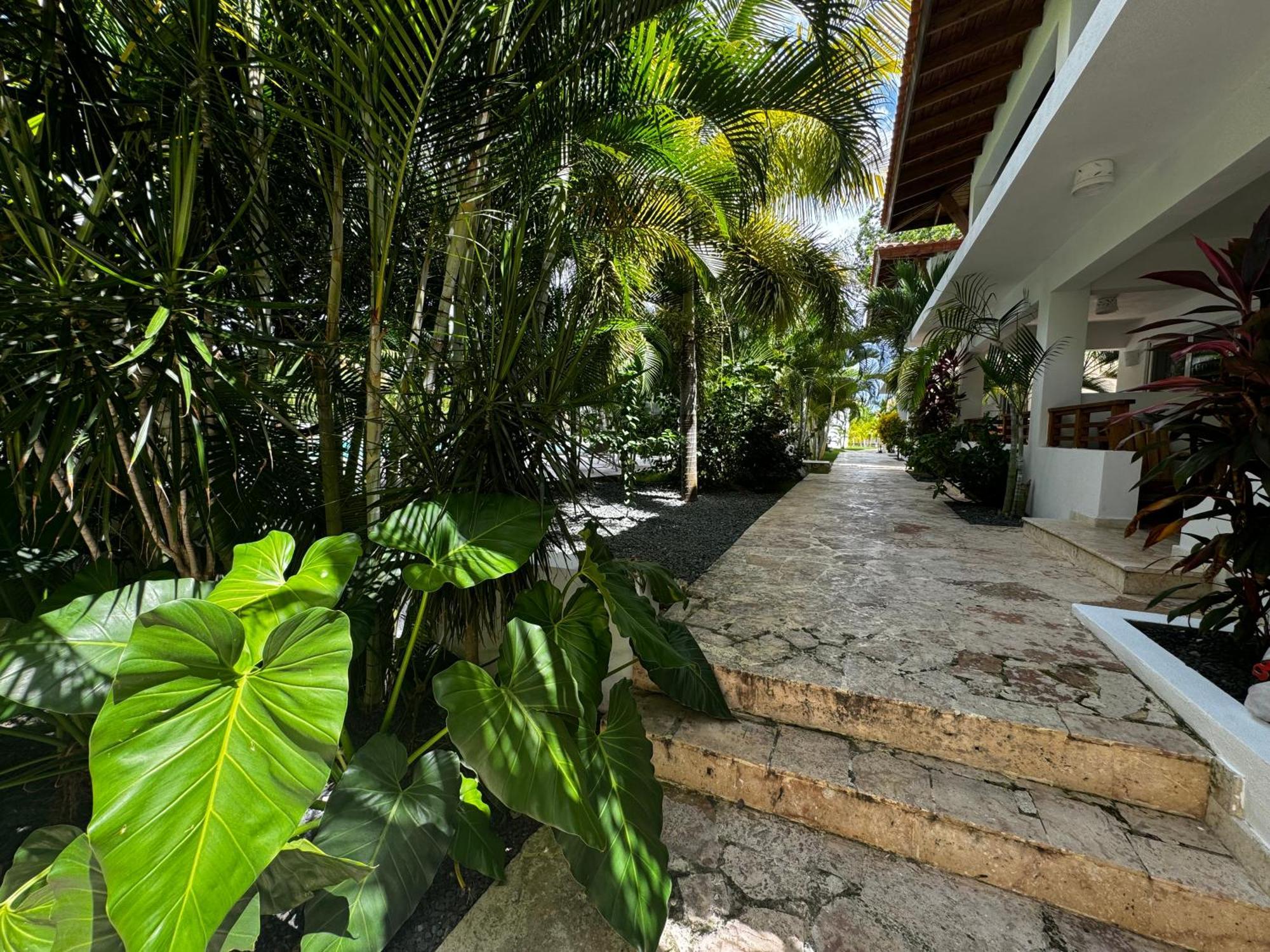 Vista Bayahibe Paradise المظهر الخارجي الصورة